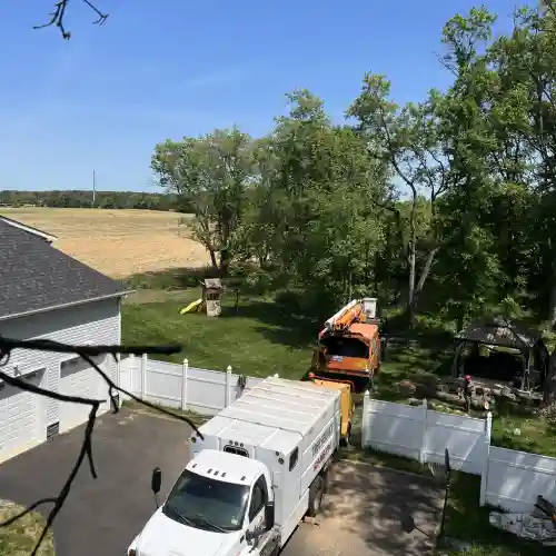 Hamilton Township NJ Tree Cutting