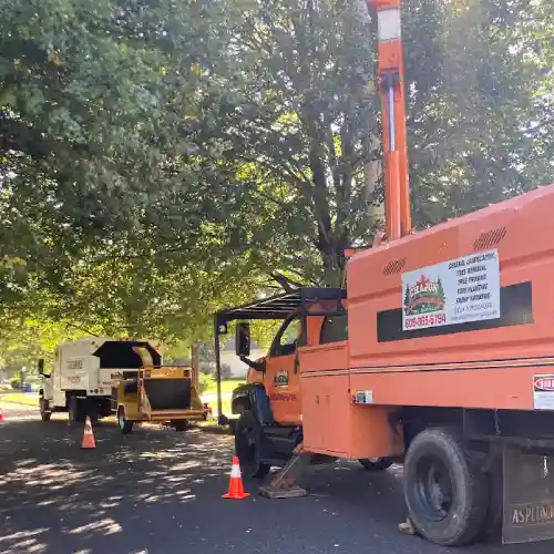 Hamilton Tree Service 08690