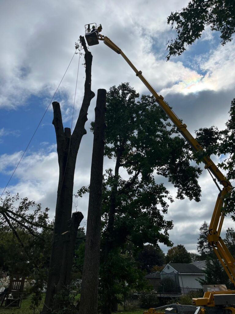 PHOTO 2026 03 16 09 22 544