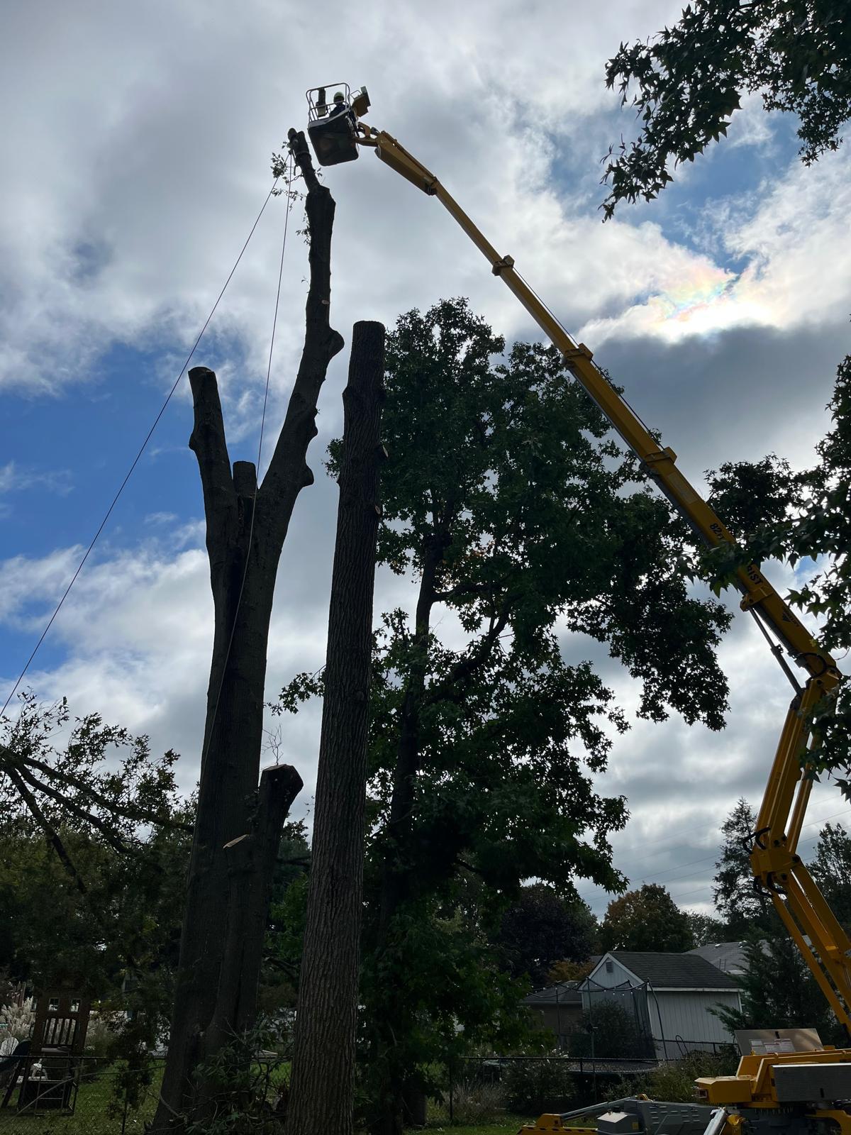 PHOTO 2026 03 16 09 22 544