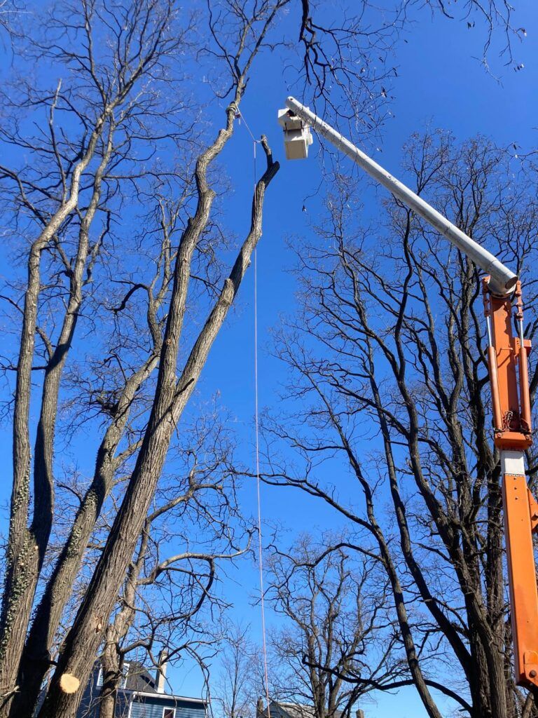 PHOTO 2026 03 16 09 22 543